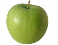 Sadnice voca jabuka greni smit