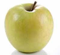 Sadnice voca jabuka rajnders