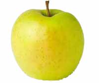 Sadnice voca jabuka zlatni delises