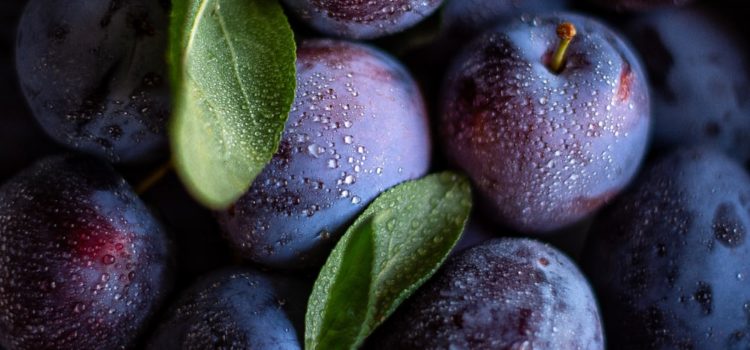 Šljiva je simbol Srbije – Sadnja i Uzgoj sljiva bluefree