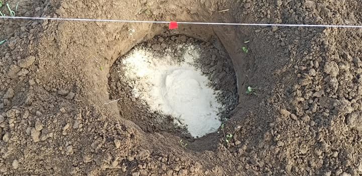 Kako izabrati mesto za voćnjak mesto za vocnjak