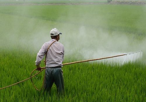 Švajcarska odlučuje o izbacivanju pesticida prskanje pesticidi