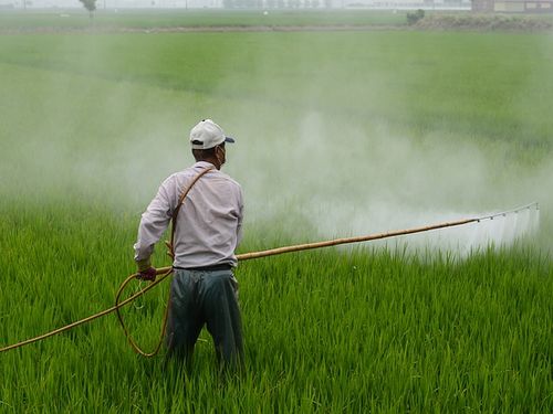 Švajcarska odlučuje o izbacivanju pesticida