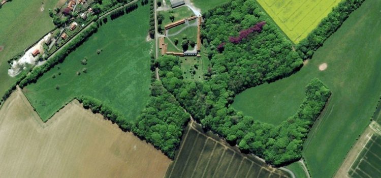 Satelitske tehnologije i poljoprivreda Šta satelitske tehnologije donose budućnosti poljoprivrede i žiteljima ruralnih prostora?