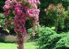 088